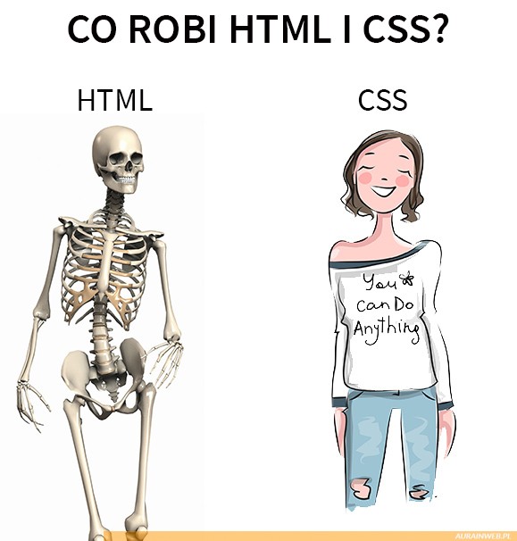 jak działa CSS i HTML do czego służą 